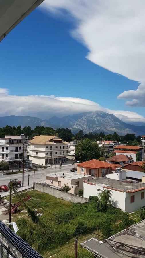Apartament Alexandros Aridaía Zewnętrze zdjęcie